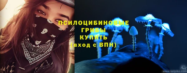шишки Белоозёрский