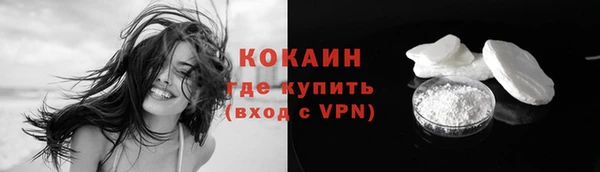 шишки Белоозёрский