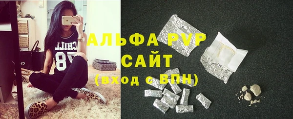шишки Белоозёрский