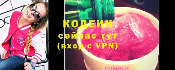 шишки Белоозёрский